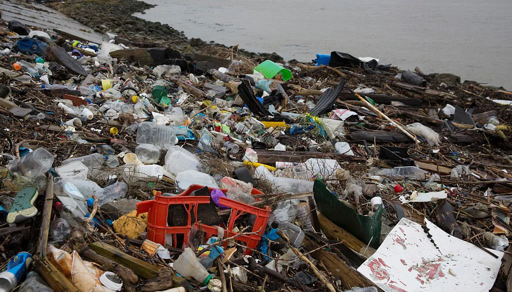 Of 1.1 million pollution-related deaths, 75% happened in rural India, says Massachusetts study