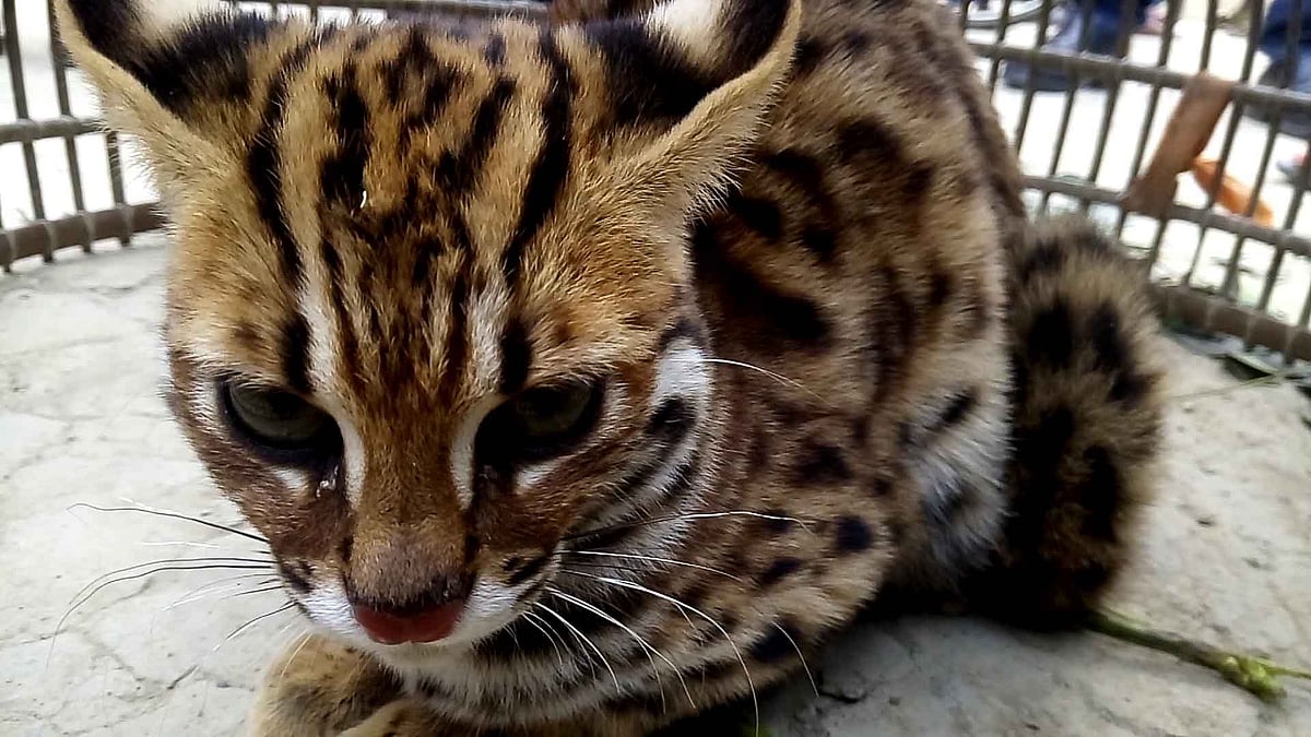 February 19: Delhi and beyond, in pictures