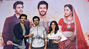 Sonu Ke Titu Ki Sweety: A disappointing comedy of sexes