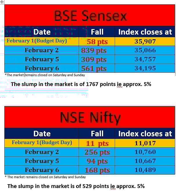 Is the govt to be blamed for the stock market turmoil?