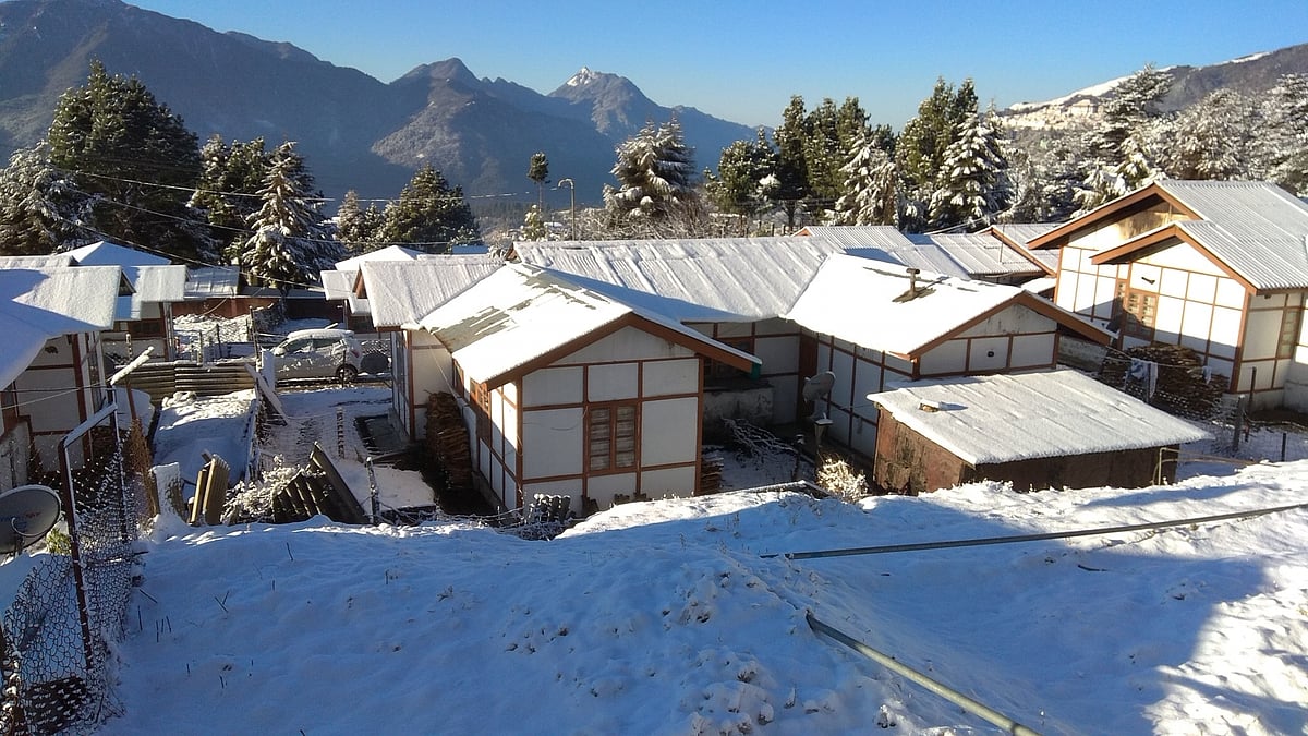 February 15: Delhi and beyond, in pictures