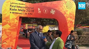 Watch: The fascinating glimpses of the first International Kala Mela
