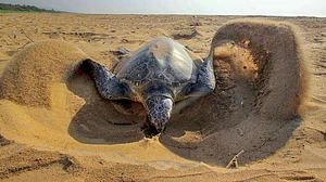 February 24: Delhi and beyond, in pictures