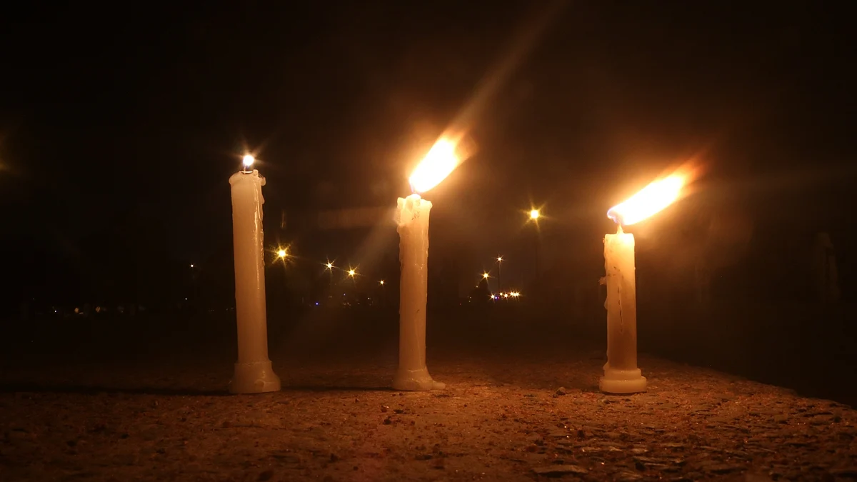 Candlelight march led by Congress President Rahul Gandhi in pictures