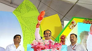 MP: Defensive BJP on voter-wooing spree from farm sops to ban on porn