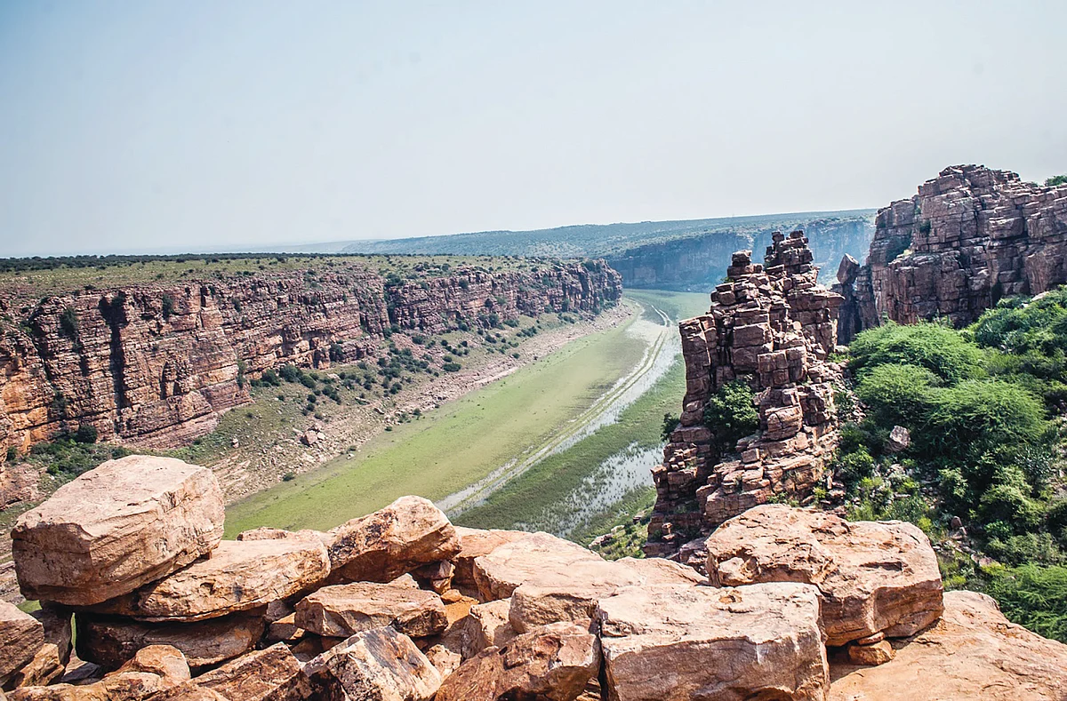 Monuments, Government & the Culture ‘Vultures’      