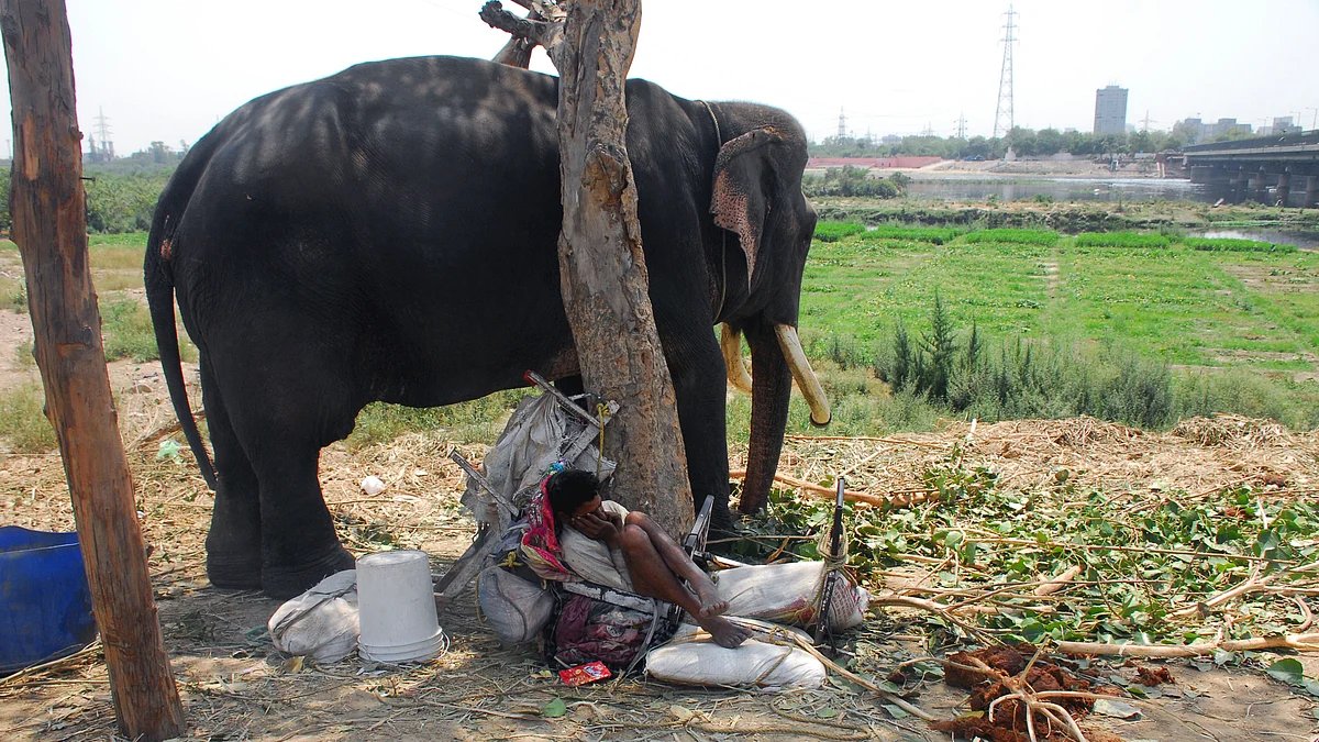 NH photo by Pramod Pushkarna/ Representative Image