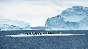 Antarctic ice shelves thinner than previously thought: Study