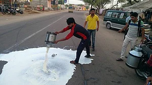 Dairy farmers protest, agriculture minister celebrates