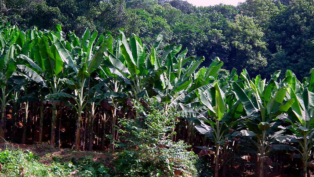 Photo courtesy: Ramesh NG/Flickr