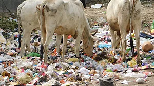 World Environment Day: Plastic is a threat to humanity