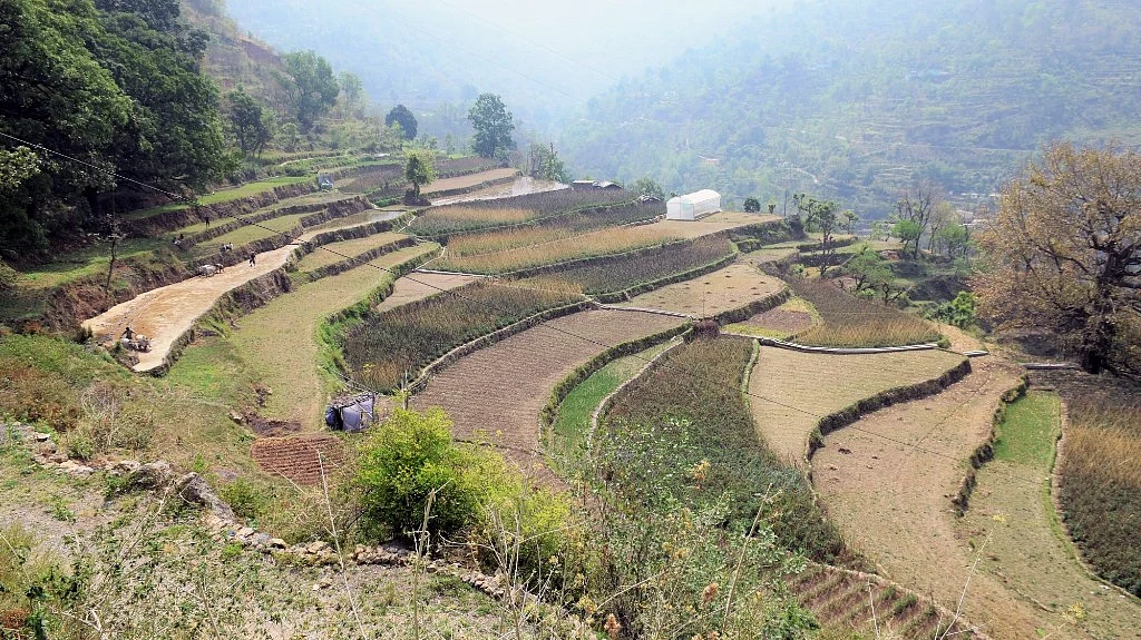 Uttarakhand: How a climate initiative is reviving Garhwal’s Tipli village 