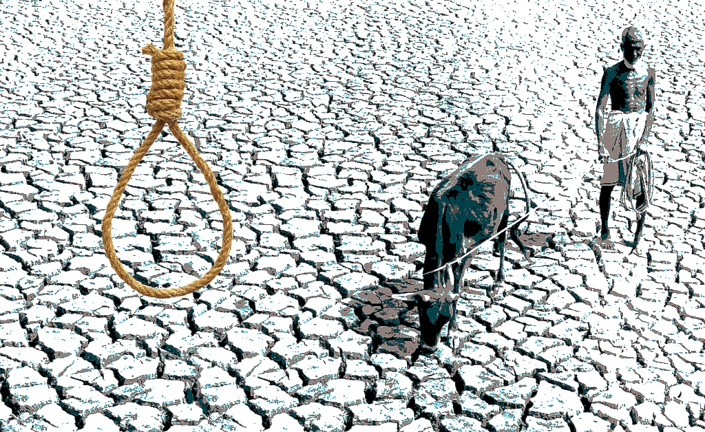 Crop insurance scheme benefits companies more than farmers  