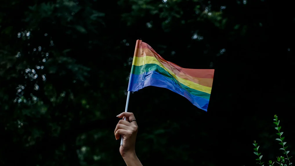 LGBT flag in Delhi; Sujay Reddy / Barcroft Images / Barcroft Media via Getty Images