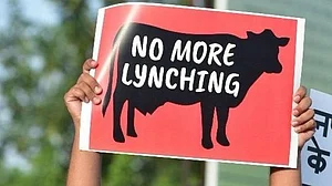 Rabid mobs ruling India’s roost, but Modi govt denies us a law on lynching
