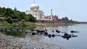 Yamuna pollution: Cycle yatra from Agra’s Taj to Delhi’s India Gate
