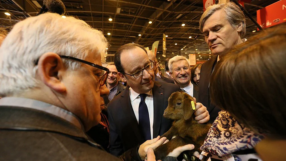 Twitter/@fhollande