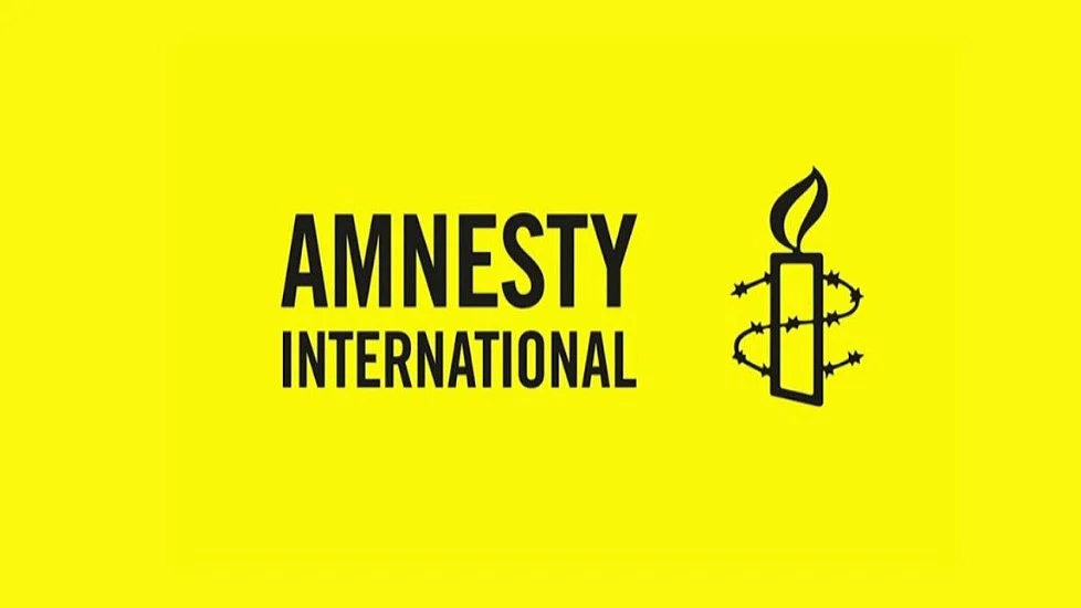 Amnesty India: Government treating human rights bodies like ‘criminal enterprises’