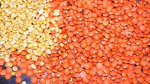 Modi govt says imported Moong and Masoor dals likely to be poisonous
