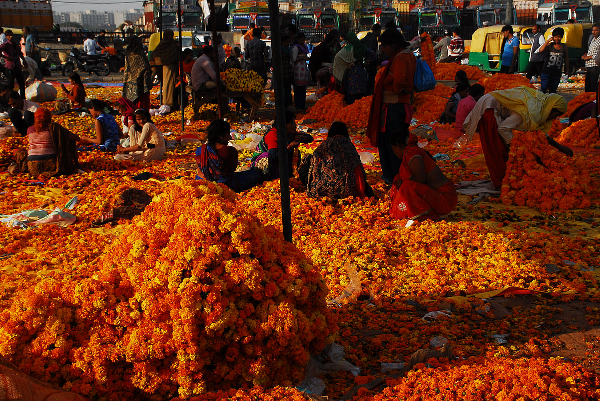 Photo By Pramod Pushkarna