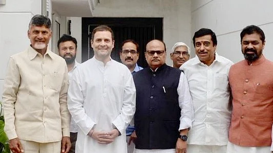 Chandrababu Naidu meets Rahul Gandhi: Opposition leaders to build anti-BJP front