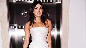 Priyanka Chopra’s video: The era of fake fans