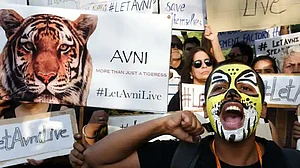 Avni is dead, long live Avni!