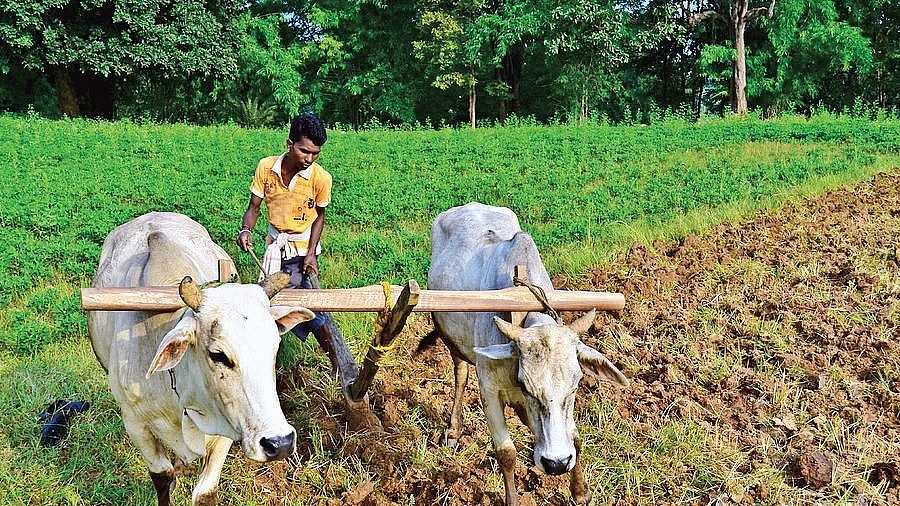 Deconstructing the controversy over GDP growth: Modi’s ‘army’, Modi’s ‘statistics’ ?