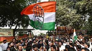 Madhya Pradesh: With an alliance Congress would have swept the poll