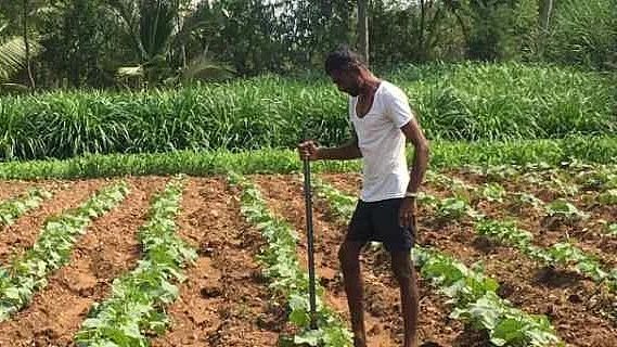 Modi govt hasn’t waived off any farm loan in last three years, says MoS Finance