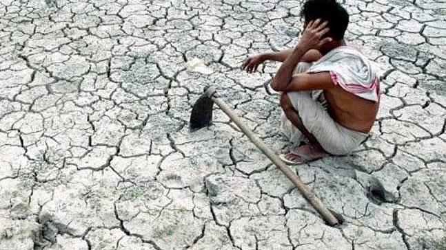 A representative image