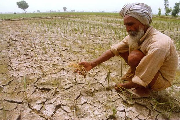 Decline in agricultural revenues force farmers to become labourers