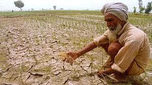 Decline in agricultural revenues force farmers to become labourers
