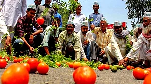 Lollipops: BJP ruled states busy distributing them