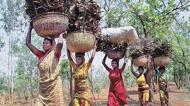 Is uprooting millions of poor tribals from their ancestral homelands ethical?