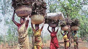 Is uprooting millions of poor tribals from their ancestral homelands ethical?