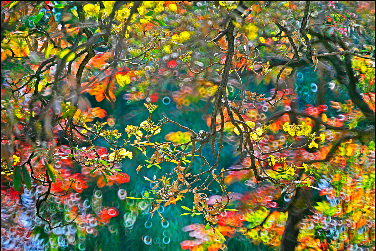 Photo by&nbsp; late veteran photographer S Paul&nbsp;