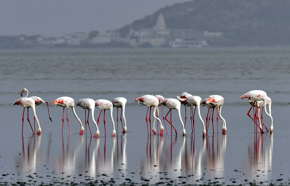 In pictures: All India Working News Cameraman’s Association Big Picture 2018-19