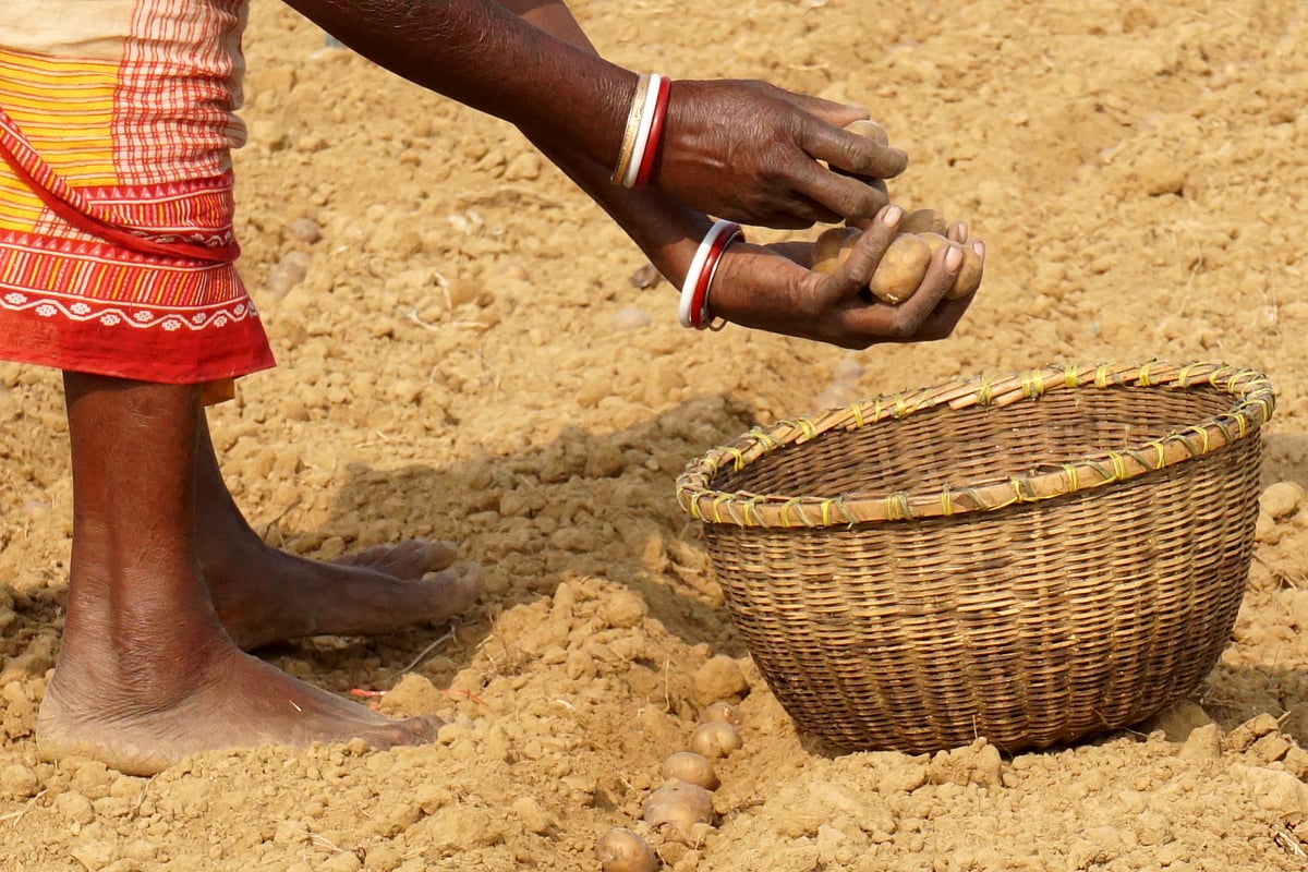 Photo by Rajeev Tyagi