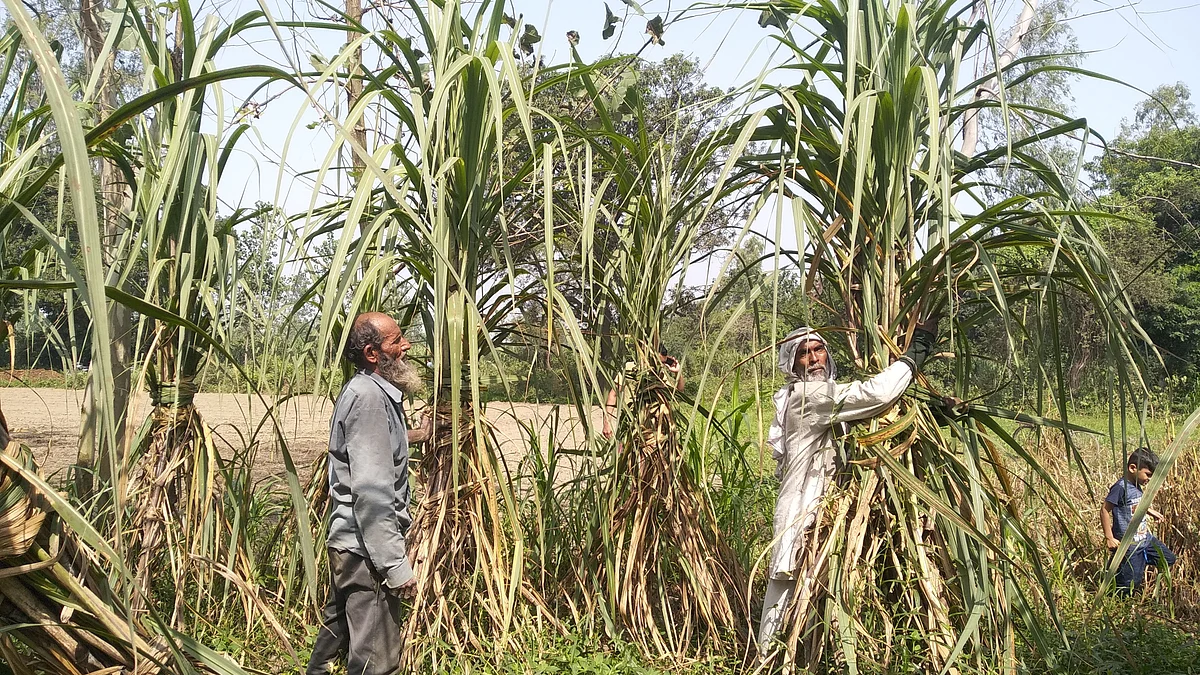 NH Photo by Aas Mohd Kaif