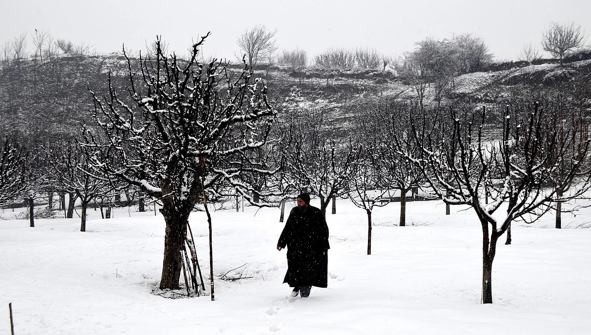 After decades, Kashmir relives its snowed-in winter  