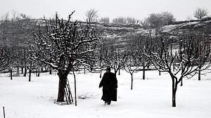 After decades, Kashmir relives its snowed-in winter