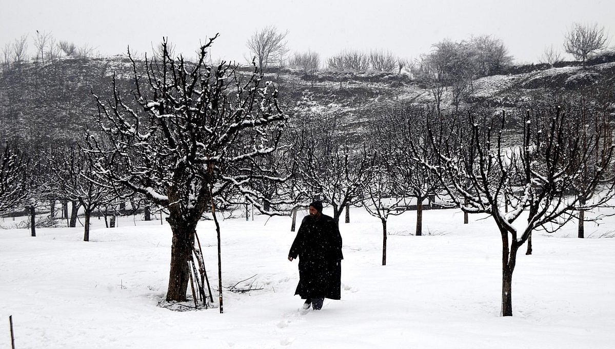 Unusual cold in north India indirectly caused by Polar Vortex hitting US and Canada: Experts
