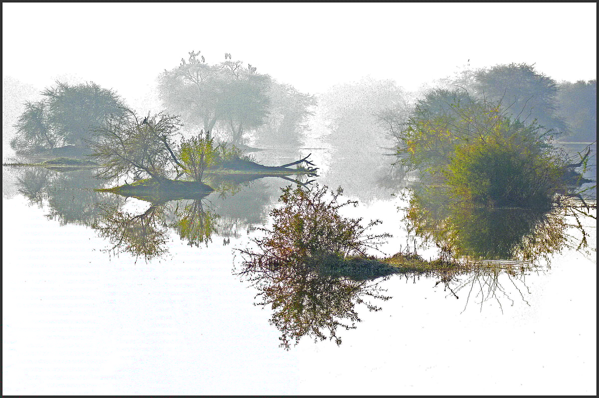 Photo by late S. Paul