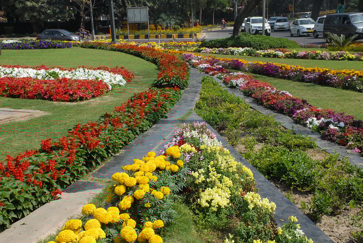 March 30: Delhi and beyond, in     pictures