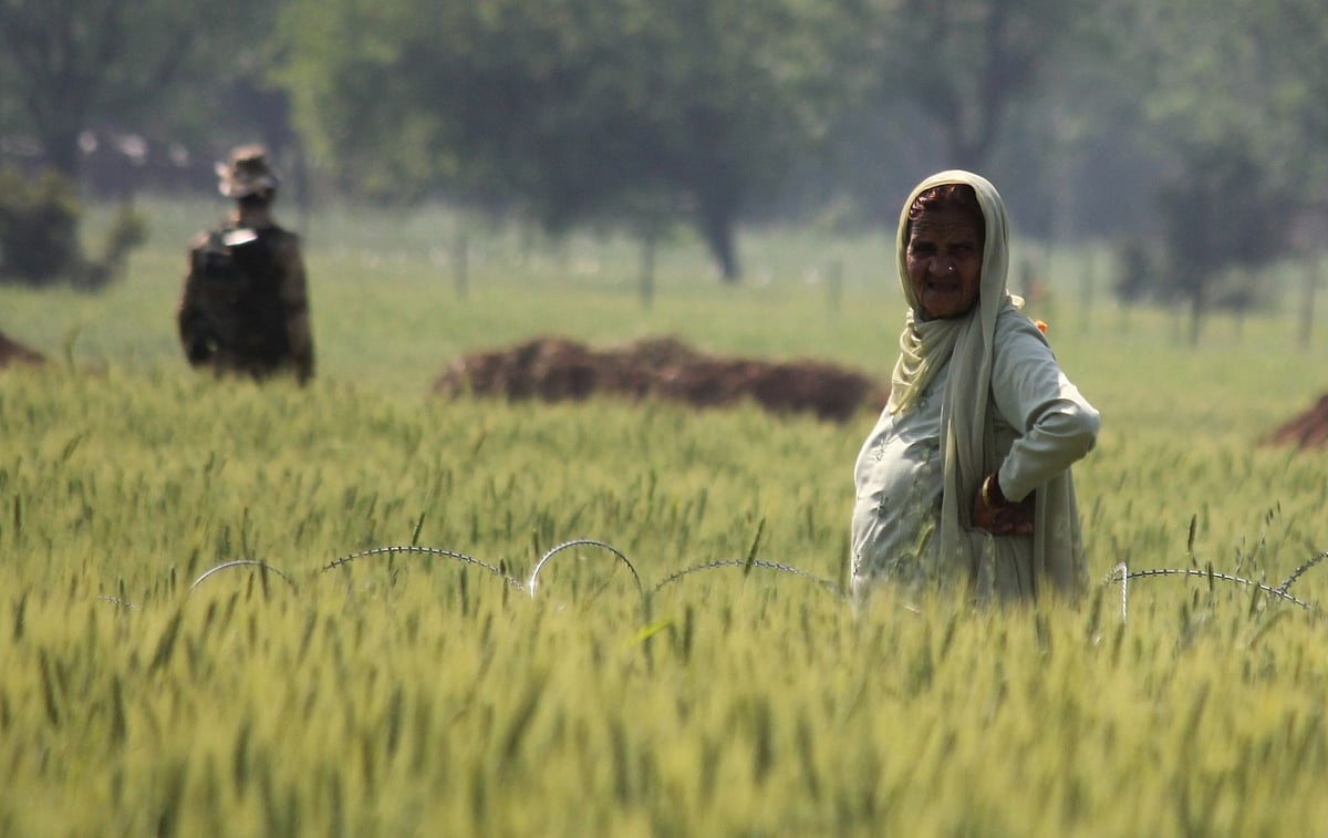 WATCH | Wheat crop of poor farmers in Jammu  destroyed for PM Modi’s poll rally