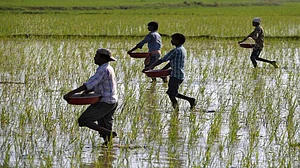 Telangana: Over 200 farmers file nominations in Nizamabad Lok Sabha seat