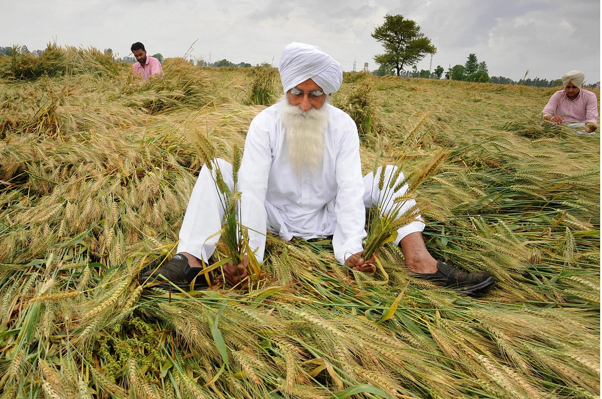 Companies, not farmers, sole beneficiaries of farm insurance 