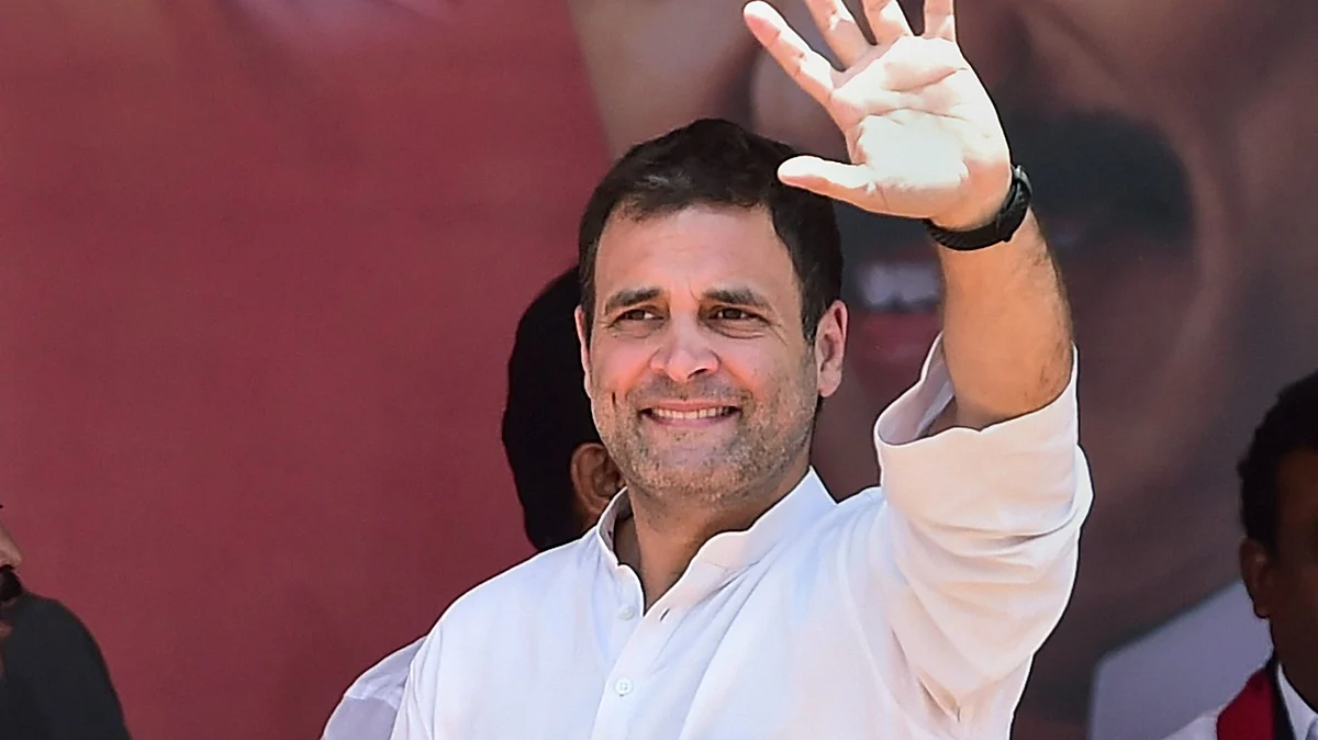Congress President Rahul Gandhi in Tamil Nadu (PTI)
