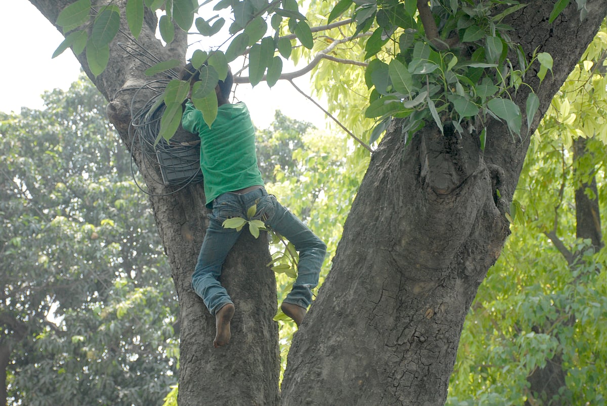Pramod&nbsp; pushkarna